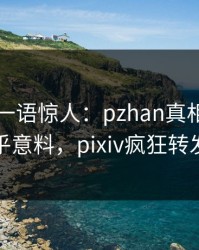 神秘人一语惊人：pzhan真相引发出乎意料，pixiv疯狂转发