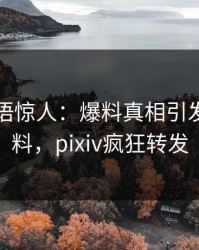 网红一语惊人：爆料真相引发出乎意料，pixiv疯狂转发