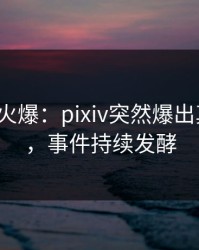 大V回应火爆：pixiv突然爆出真相内幕，事件持续发酵