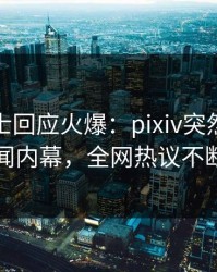 业内人士回应火爆：pixiv突然爆出丑闻内幕，全网热议不断