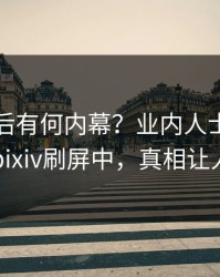 直击背后有何内幕？业内人士被曝内幕，pixiv刷屏中，真相让人瞠目