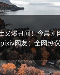 业内人士又爆丑闻！今晨刚刚流出内幕，pixiv网友：全网热议不断