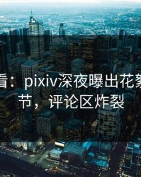 限时查看：pixiv深夜曝出花絮震撼细节，评论区炸裂