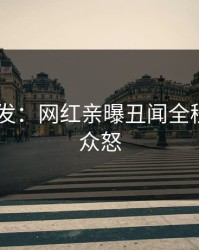 Pixiv突发：网红亲曝丑闻全程，引发众怒