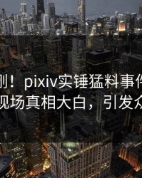 今晚刚刚！pixiv实锤猛料事件，当事人现场真相大白，引发众怒