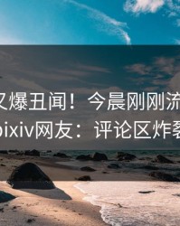 神秘人又爆丑闻！今晨刚刚流出内幕，pixiv网友：评论区炸裂