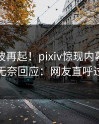 今晚风波再起！pixiv惊现内幕，圈内人无奈回应：网友直呼过瘾