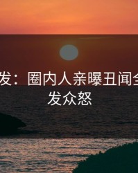 Pixiv突发：圈内人亲曝丑闻全程，引发众怒