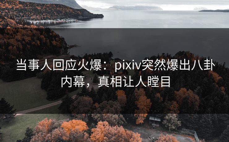 当事人回应火爆：pixiv突然爆出八卦内幕，真相让人瞠目