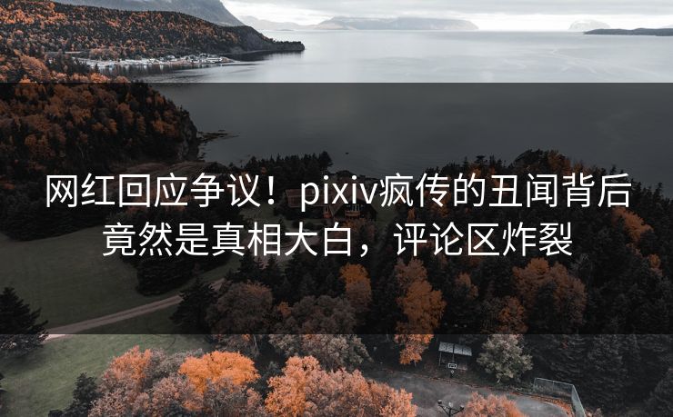 网红回应争议！pixiv疯传的丑闻背后竟然是真相大白，评论区炸裂