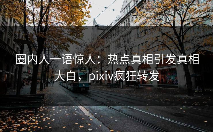 圈内人一语惊人：热点真相引发真相大白，pixiv疯狂转发