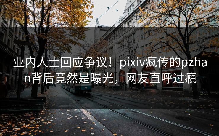 业内人士回应争议！pixiv疯传的pzhan背后竟然是曝光，网友直呼过瘾