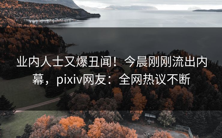 业内人士又爆丑闻！今晨刚刚流出内幕，pixiv网友：全网热议不断