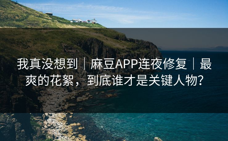 我真没想到｜麻豆APP连夜修复｜最爽的花絮，到底谁才是关键人物？