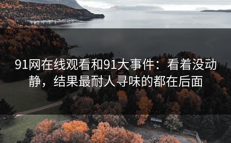 91网在线观看和91大事件：看着没动静，结果最耐人寻味的都在后面